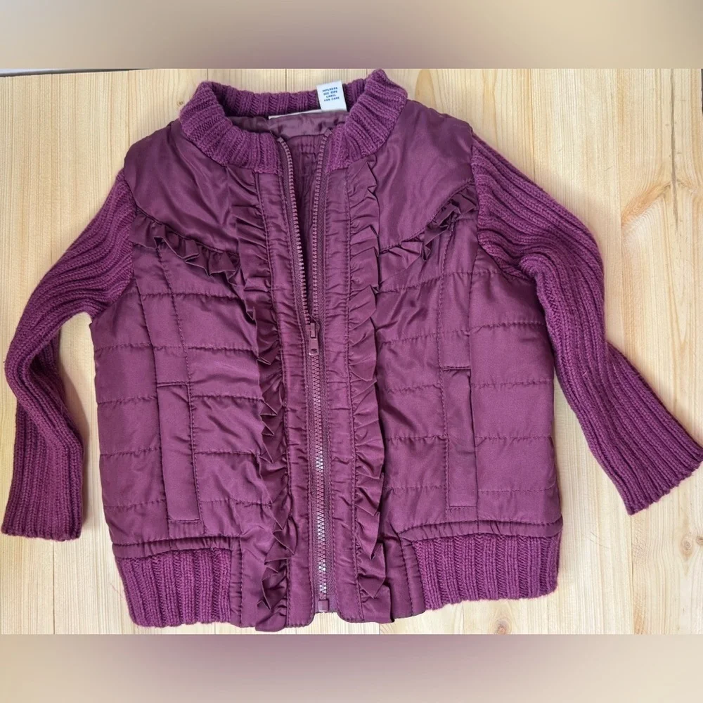 Green Dog Purple  Jacket with Sweater Sleeves. Great condition. Size 18 months